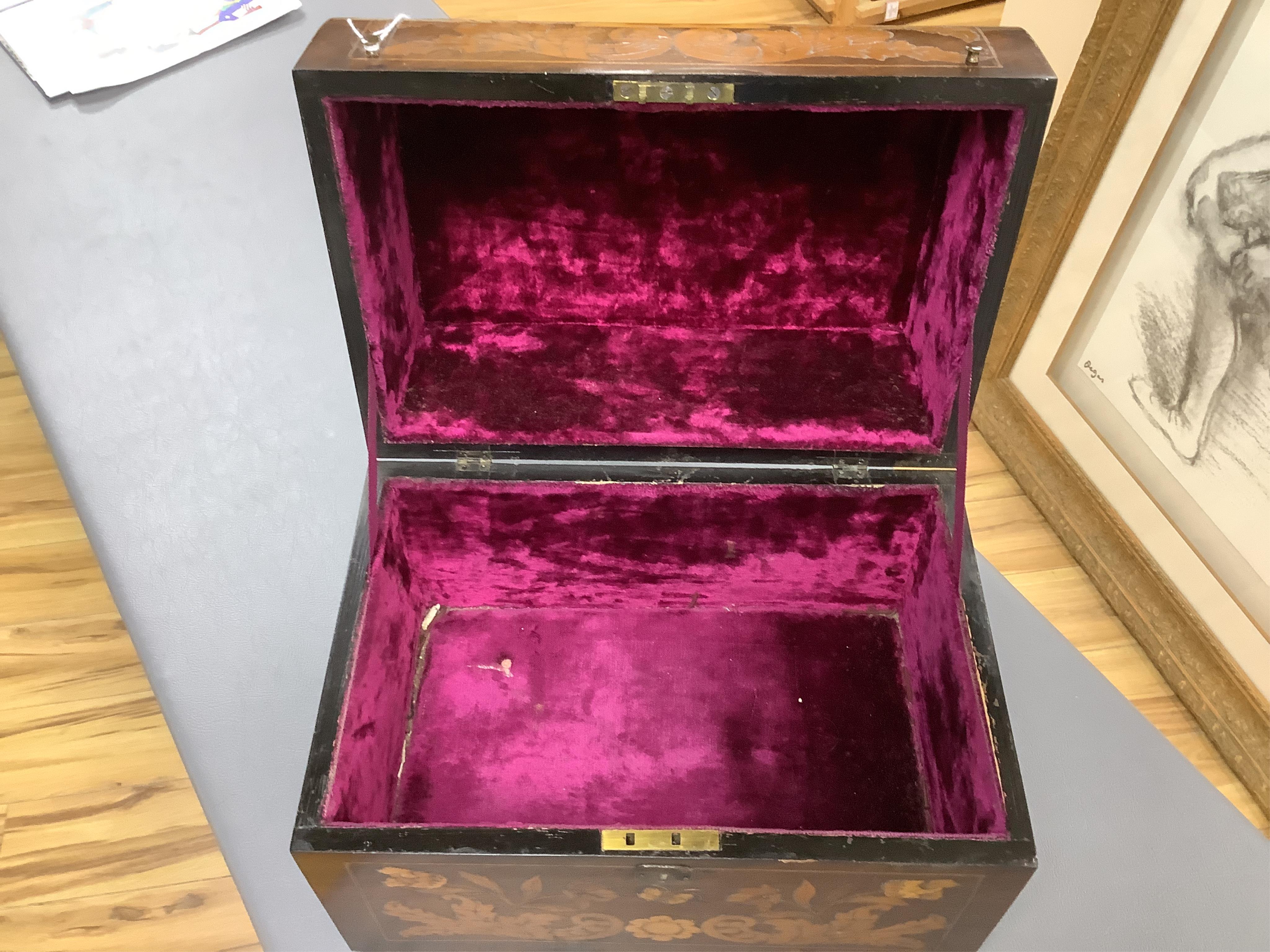 A 19th century Dutch, dome fronted, marquetry mahogany decanter box, velvet lined, 28cm wide